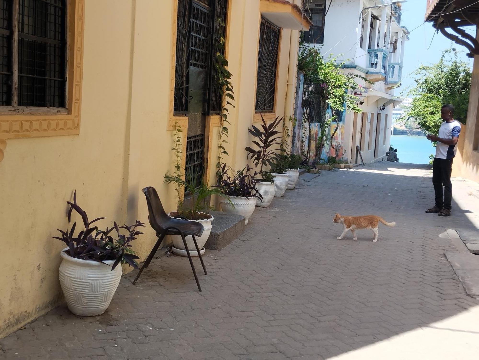 Mombasa Comfort House, Old Town Buitenkant foto